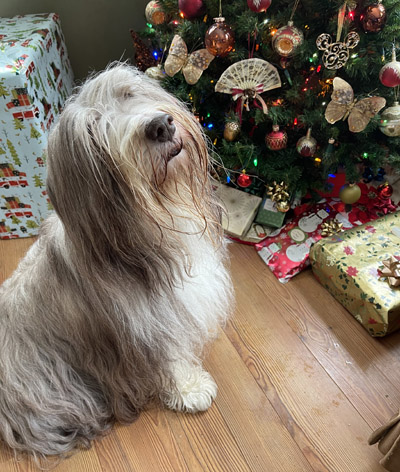 Rhys wants to open the Christmas presents